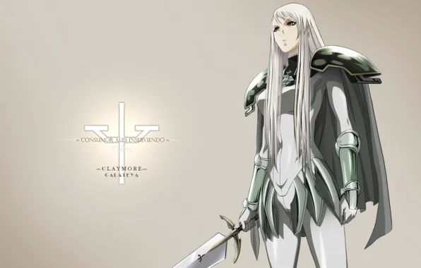 Logo, game, Anime, Claymore, soldier, monster, devil, weapon