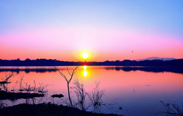 Sun, Water, Sunrise, Dawn, Morning, Lake, Trees, Reflection