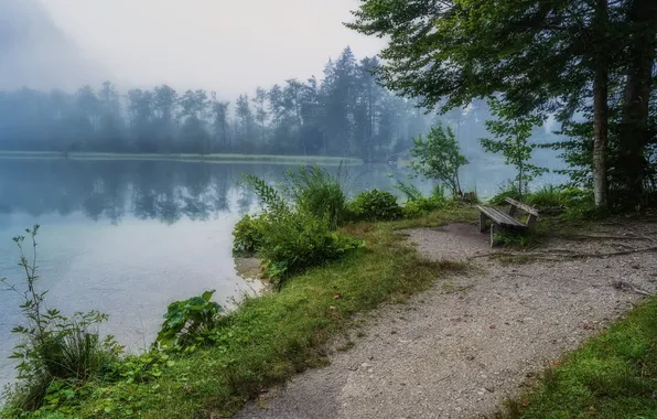 Парк, берег, скамья