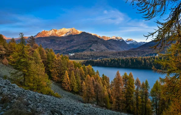 Картинка осень, лес, деревья, горы, озеро, Альпы, Switzerland, Alps