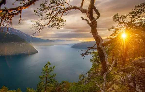 Картинка деревья, закат, горы, камни, скалы, Норвегия, залив, лучи солнца