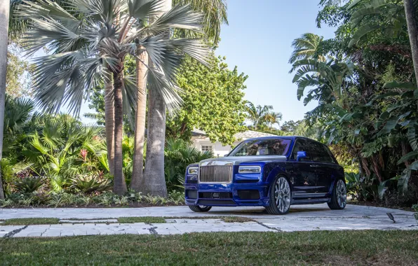 Картинка Rolls Royce, Blue, SUV, Silver, Palm, Cullinan