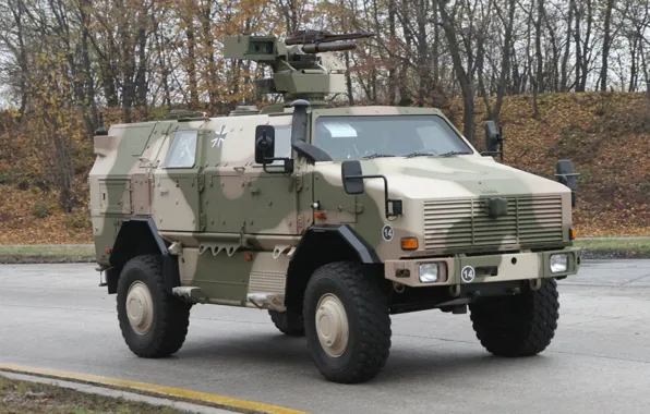 Gun, military, weapon, armored, machine gun, war material, armored vehicle