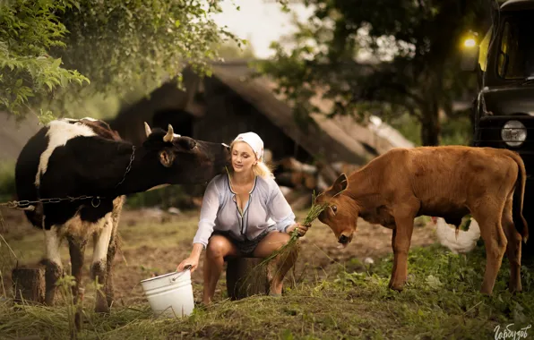 Картинка девушка, поза, корова, блондинка, ведро, телёнок, доярка, Илья Гарбузов