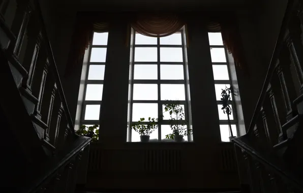 Цветы, окно, лестница, подоконник, шторы