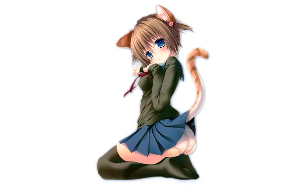 Girl, sexy, lingerie, ass, pantsu, school uniform, panties, thighhighs