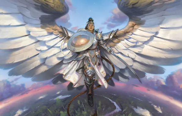 Картинка крылья, меч, доспехи, горизонт, шлем, коса, щит, art