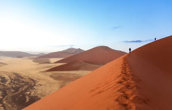 Desert, sand, dawn, heat