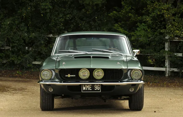 Ford Mustang, 1967, Muscle Car, Shelby GT350