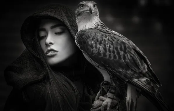 Девушка, птица, Joachim Bergauer, The Protector