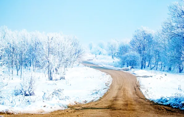 Картинка Дорога, Деревья, Снег, Snow Way, Снежный Путь