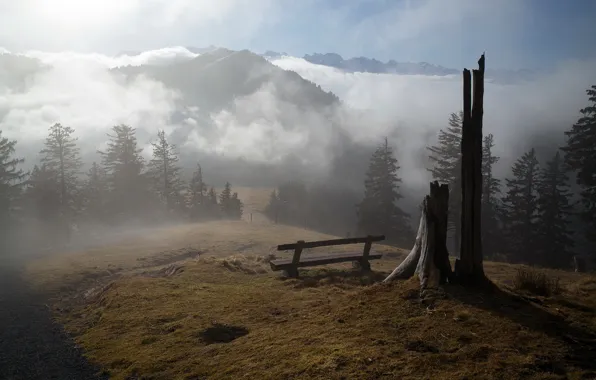 Горы, туман, утро, скамья