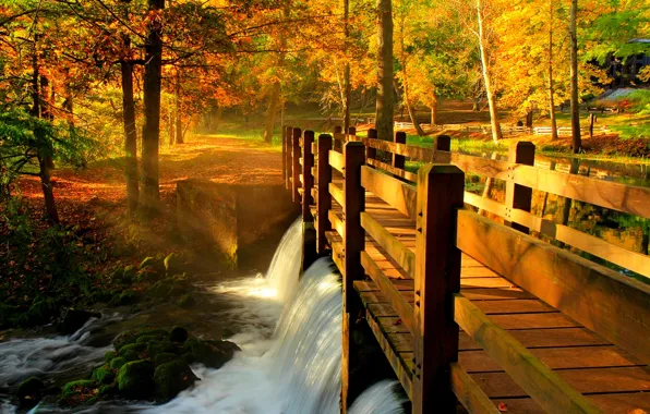 Картинка осень, лес, листья, вода, деревья, мост, природа, парк