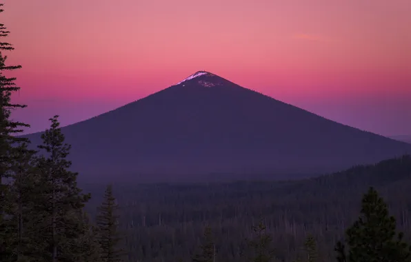 Картинка лес, закат, гора, Орегон, forest, сша, Oregon, sunset