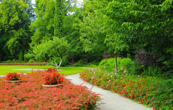 Flower, trees, park, garden, alley