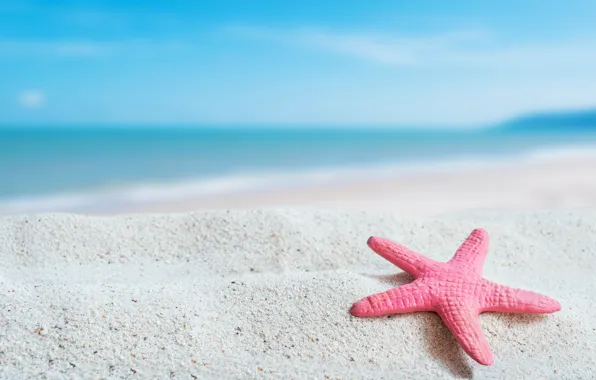 Картинка песок, море, волны, пляж, лето, берег, звезда, summer