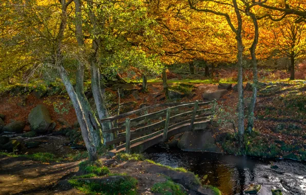 Картинка осень, лес, деревья, пейзаж, природа, камни, речка, мостик