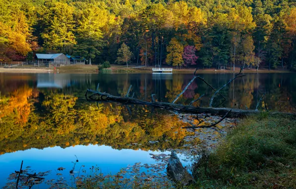 Картинка осень, лес, солнце, деревья, озеро, парк, берег, США