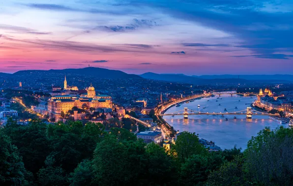 Картинка city, lights, river, trees, sunset, night, Budapest, Danube