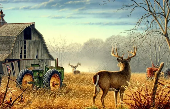 Картинка Nature, trees, animals, birds, fog, mood, deer, barn