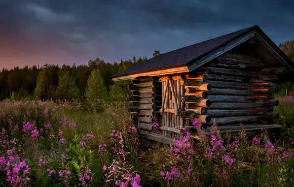 Картинка лето, закат, цветы, дом