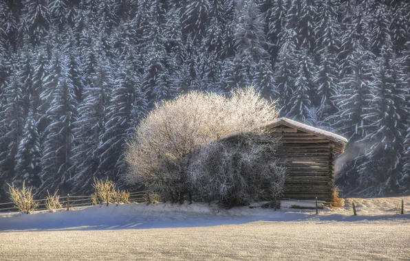 Картинка зима, лес, снег, деревья, природа, утро, хижина