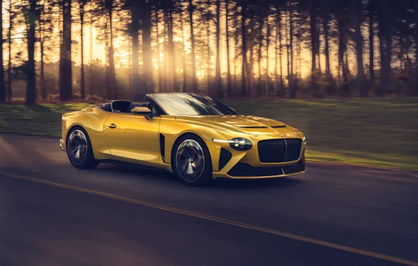 Bentley, Mulliner, 2020, Bacalar