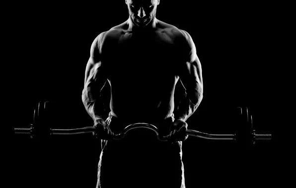 Тень, фигура, железо, muscle, мышцы, штанга, фон black, muscles