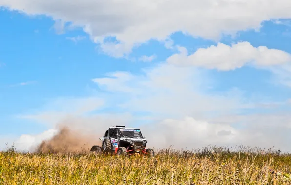 Поле, Авто, Спорт, Скорость, Гонка, Rally, Ралли, Buggy