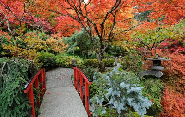 Осень, деревья, парк, Канада, Ванкувер, мостик, кусты, Butchart Gardens