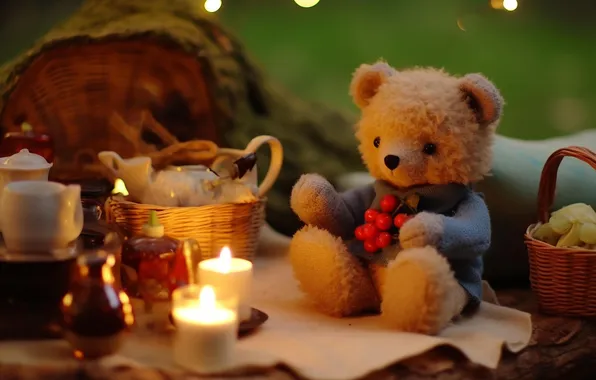 Свет, огни, ягоды, пламя, чай, поляна, игрушка, вечер