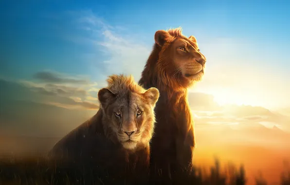 Природа, мультфильм, львы, постер, Mufasa: The Lion King, Муфаса: Король Лев