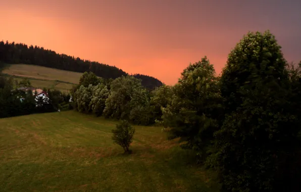 Картинка деревья, закат, природа, холмы, Nature, trees, sunset