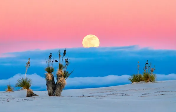 Sky, cloud, sand, full moon