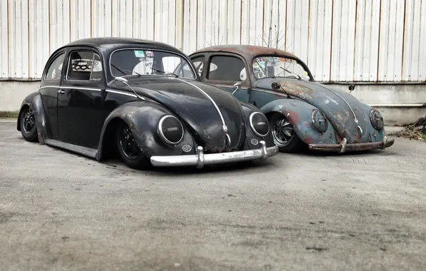 Volkswagen, Beetle, ratlook