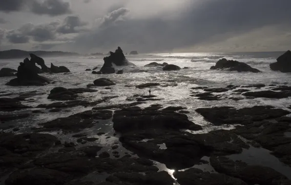 USA, United States, Olympic National Park, America, United States of America, Shi-Shi Beach