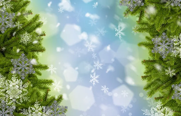 Картинка снег, снежинки, ветки, ёлка