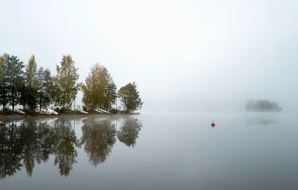 Вода, деревья, туман, отражение, река, берег, Finland
