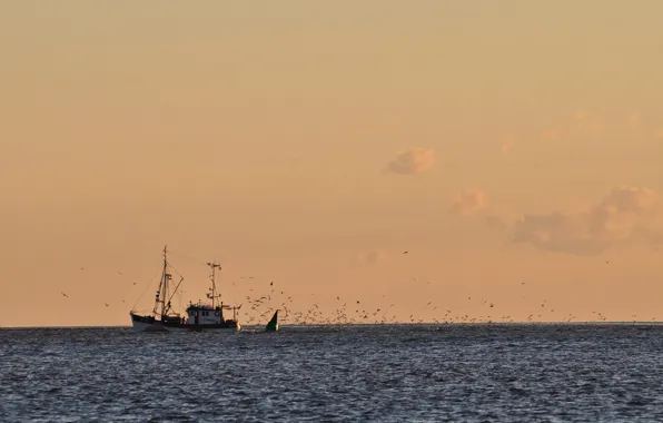 Twilight, sea, ocean, sunset, seascape, dusk, horizon, fisherman