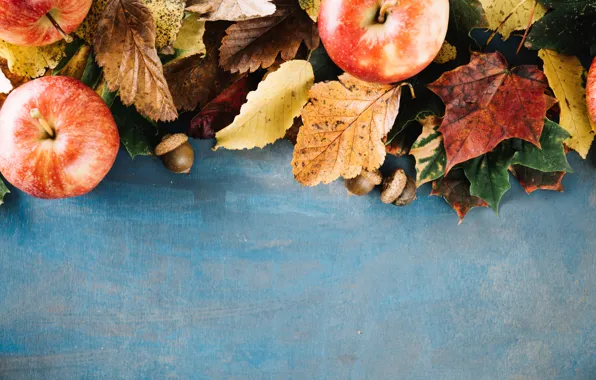 Осень, листья, фон, яблоки, colorful, wood, background, autumn