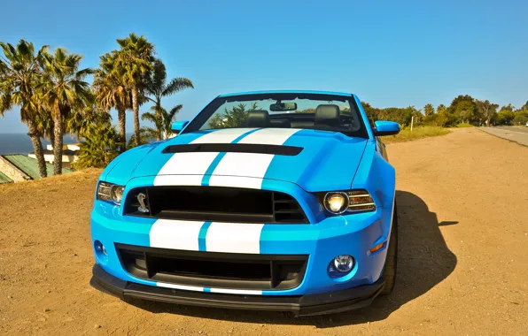 Shelby, Convertible, 2014, Gt500