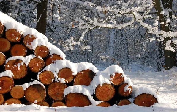 Картинка зима, снег, Природа, дрова, поленница