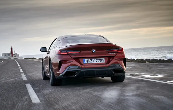 Картинка разметка, купе, BMW, вид сзади, Coupe, 2018, 8-Series, тёмно-оранжевый