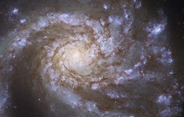NASA, hubble, galaxy, ESA, M99, European Space Agency