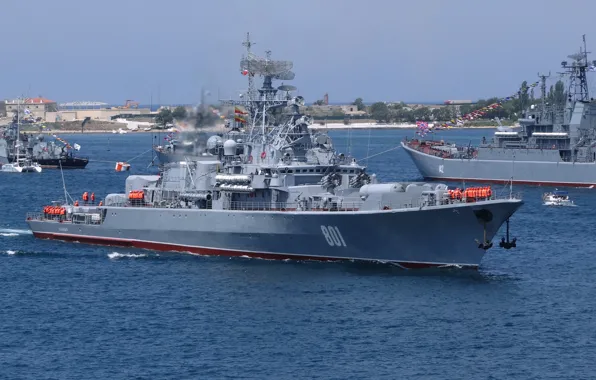 Корабль, ВМФ, Севастополь, сторожевой, проект 1135, Ладный