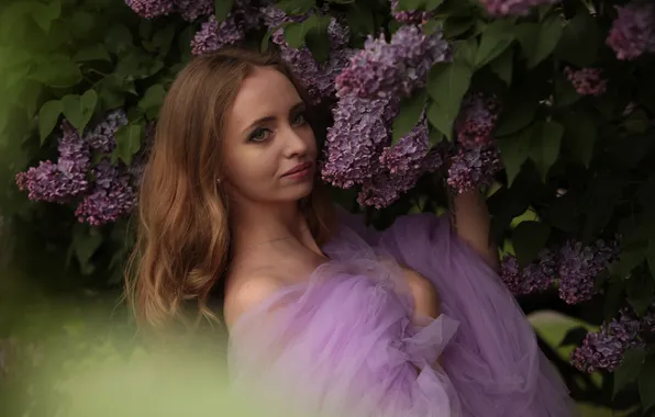Взгляд, девушка, фотосессия, сирень
