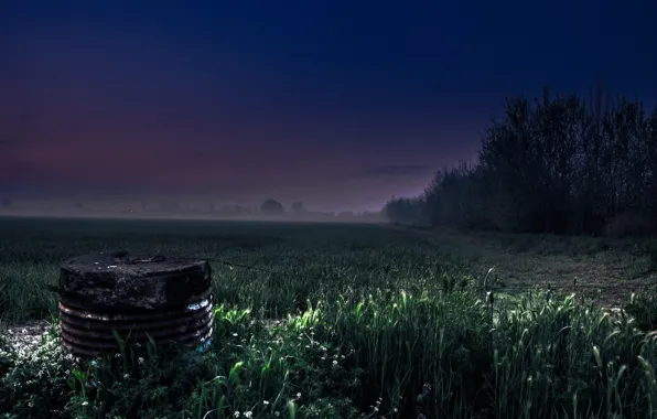 Картинка поле, пейзаж, ночь, туман
