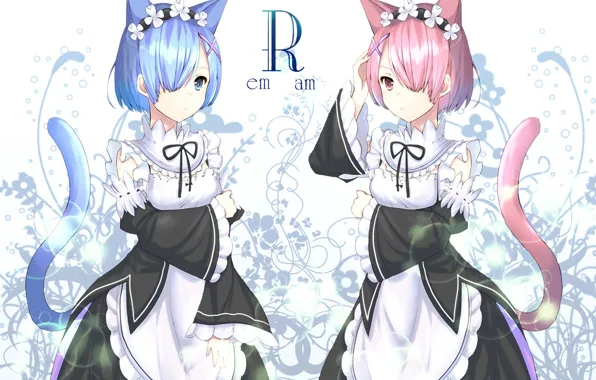 Девушки, ушки, сёстры, хвостик, Ram, Rem, Re: Zero kara Hajimeru Isekai Seikatsu