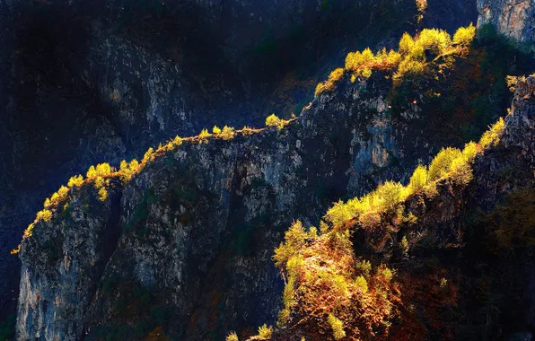 Картинка деревья, горы, скалы, Италия, Ломбардия