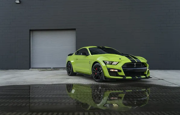 Картинка Mustang, Ford, GT500, Wall, Green, Water, Reflection, Sight